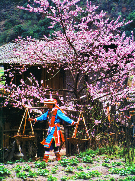 人文藝術(shù)