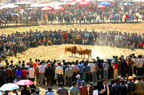 人文藝術(shù)