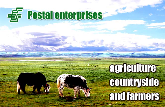 Supporting Postal Enterprises to Provide Services to Agriculture, Rural Areas and Farmers