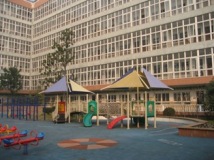 International Division of Shanghai Gold Apple School