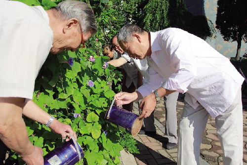 Dandong senior citizens voluntarily plant flowers