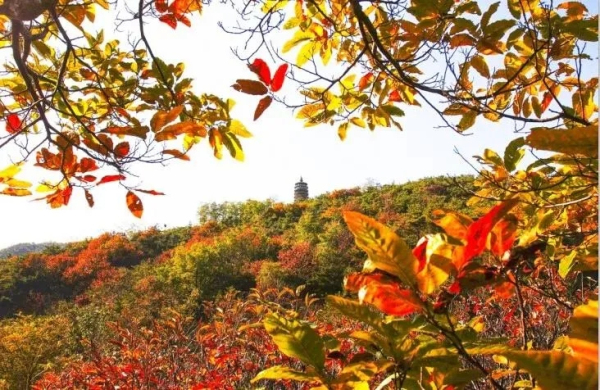 Mountains to hike in Yantai