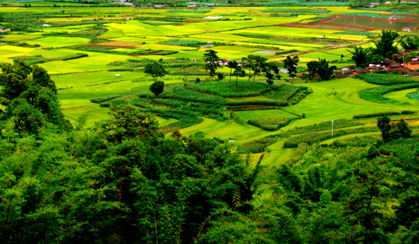 Ecological environment in Pu'er