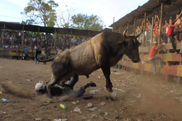 Bullfight in Santa Teresa festival