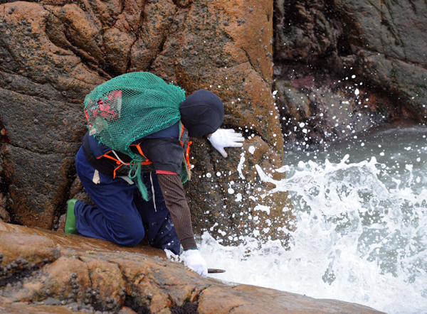 Migrant seashell collectors