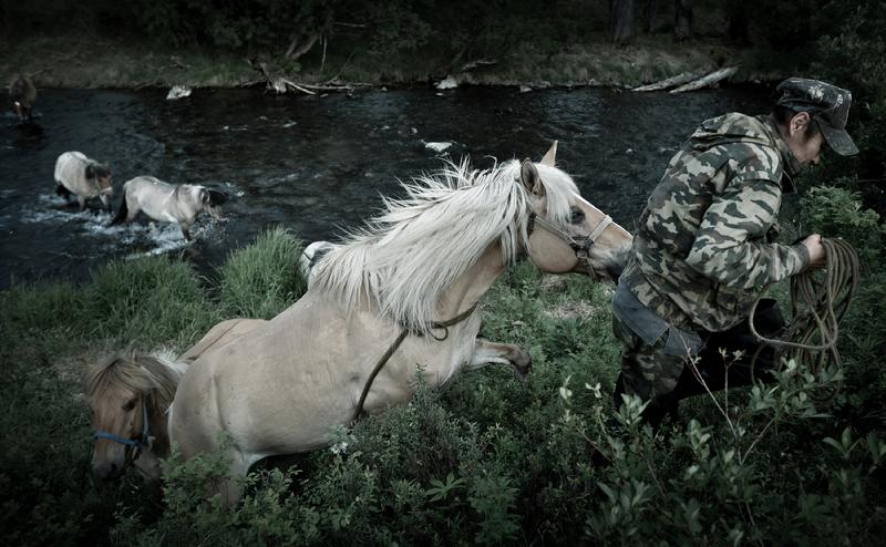 Nature & Environment News Stories Silver Award