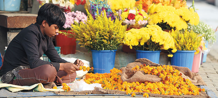 Colors of India