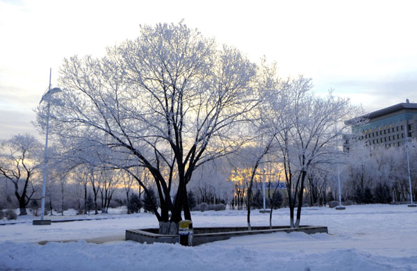 Rime scenery in NE China