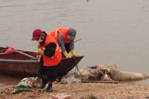 Mask-wearing students protest industrial waste gas