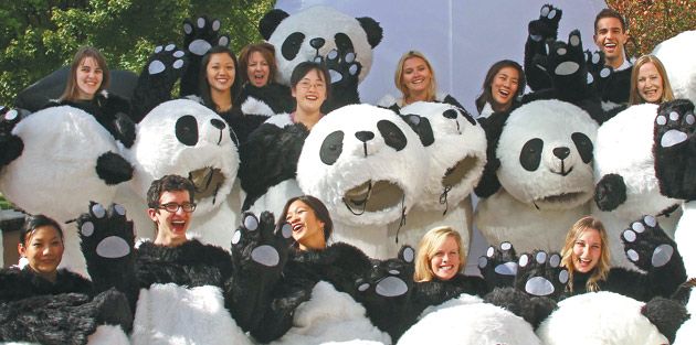 'Pandas' hot to globe-trot