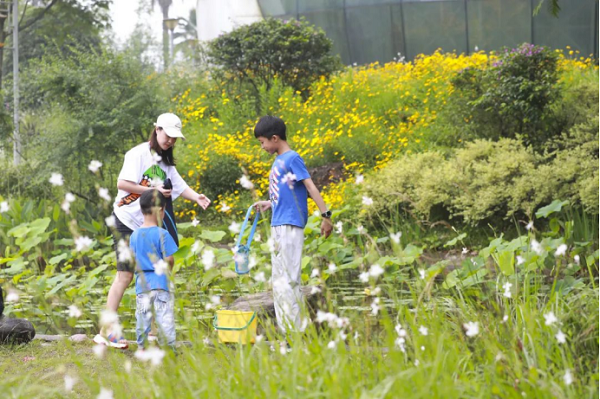 People enchanted by summer flower seas