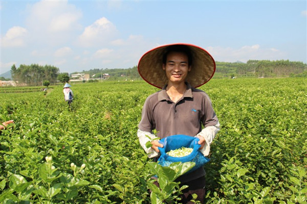 Journey to the Silk Road – Guangxi