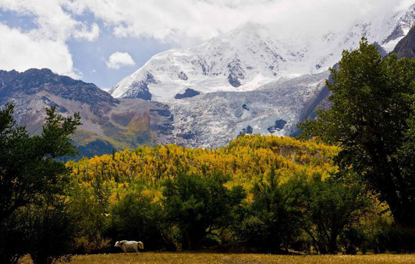 Beautiful Midui Glacier in Bomi county