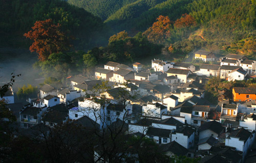 Rape Flowers in Wuyuan