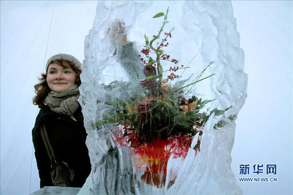 Scenery of ice flowers in Ukraine