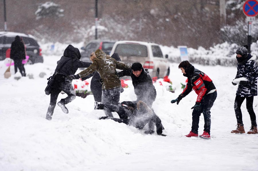 First snowfall brings seasonal charm to Harbin