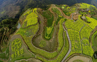 Peach flower destination: Galang village in Tibet