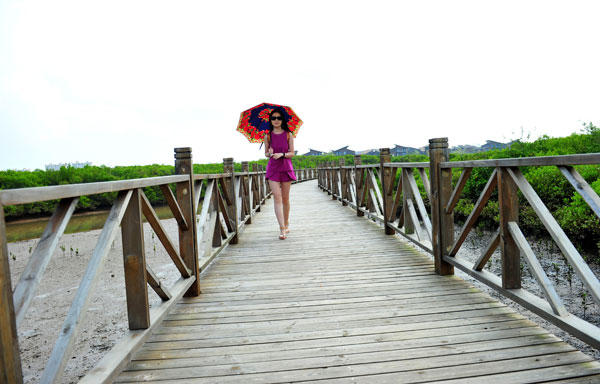 Mangrove Bay Wetland in Hainan will open in October