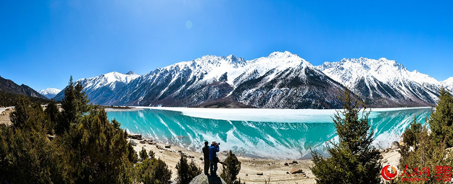 The fantastic spring in Tibet