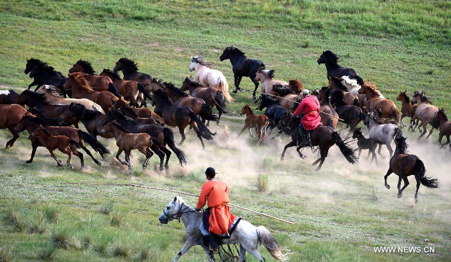 Equestrians ride on grassland of China's Inner Mongolia