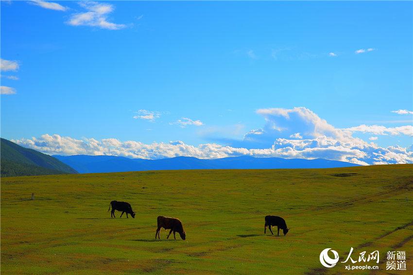 Intoxicating 'Shangri-la' in Xinjiang