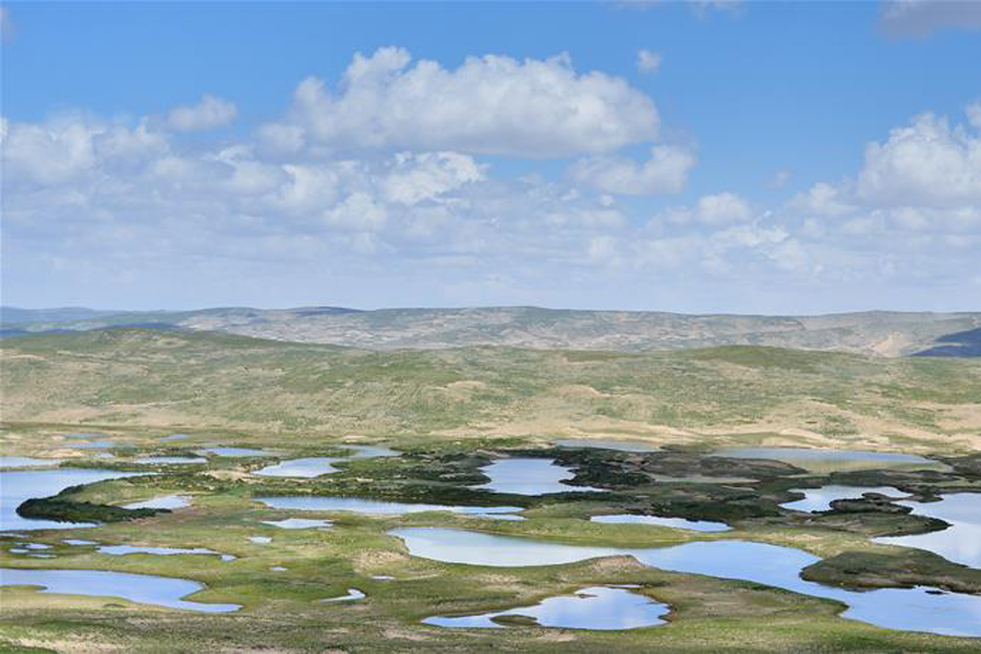 NW China's Sanjiangyuan National Park experiences system reform