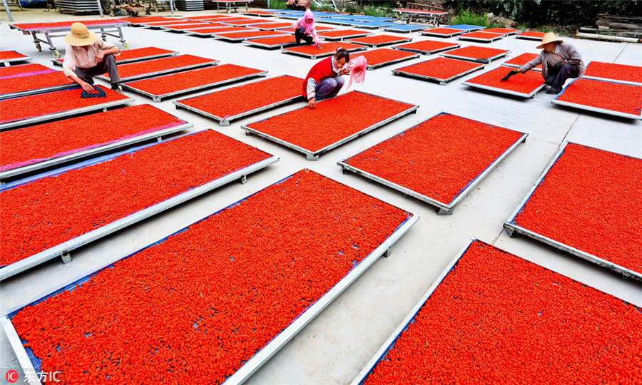 Stunning colors celebrate China's autumn harvest