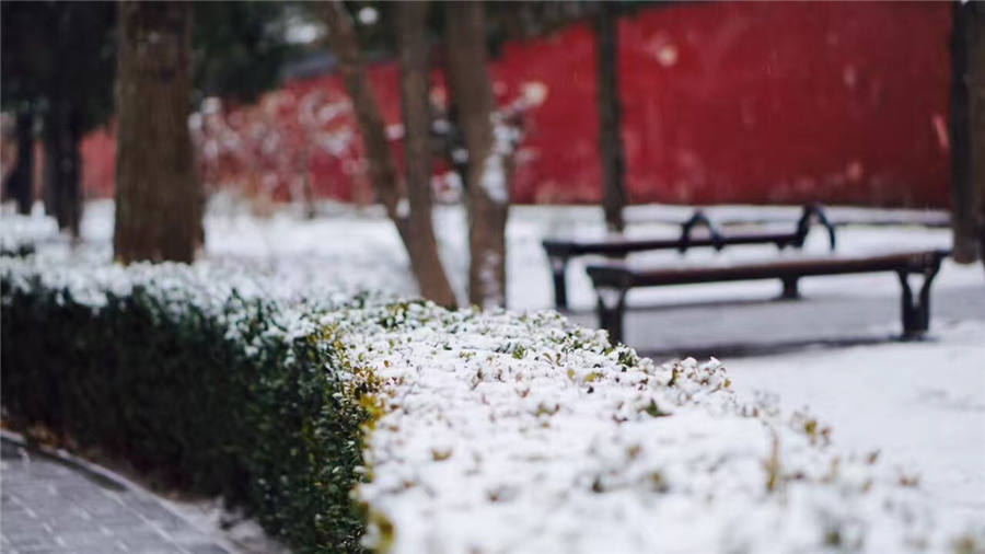 Spring snow blankets Forbidden City