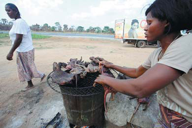 Guinea battles Ebola as virus spreads to capital