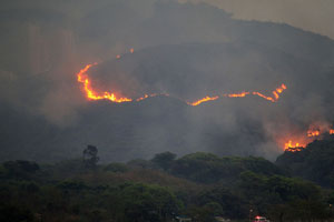 Death toll from Chile forest fire rises to 16