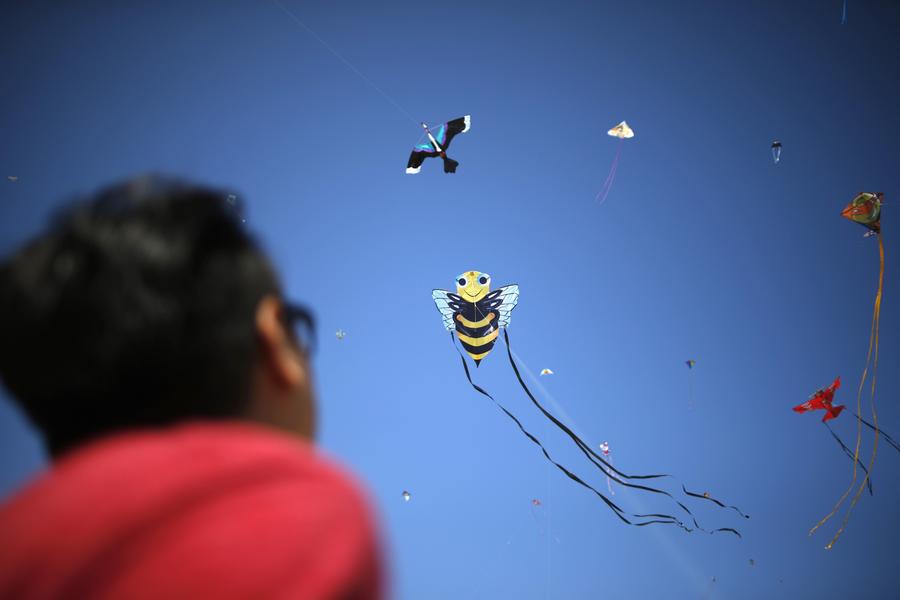 Festival of Kite at Redondo Beach, California