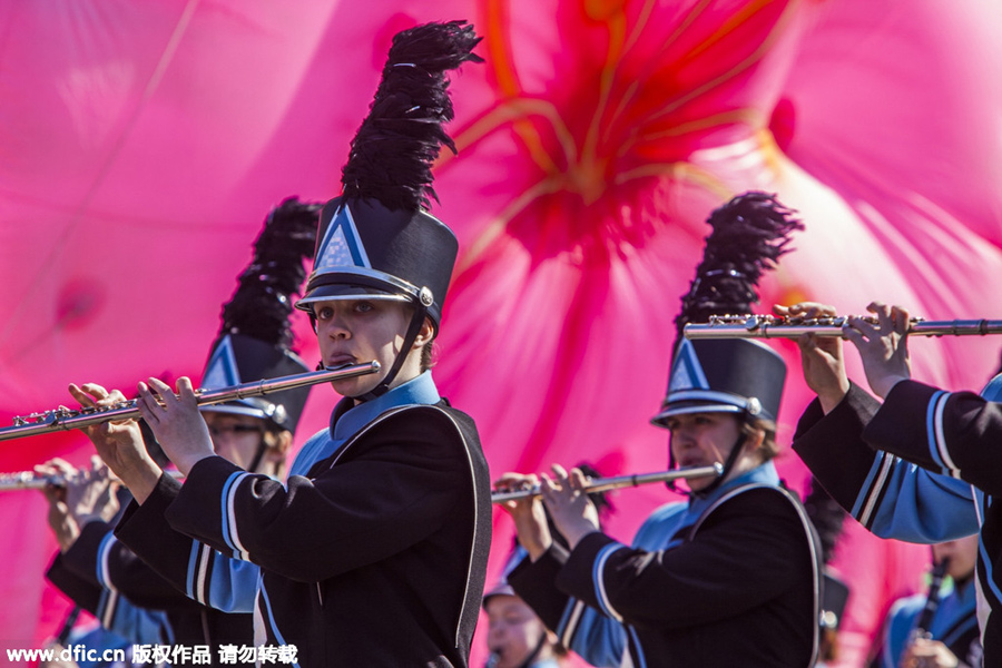 National festival underway with cherry blossoms in peak bloom