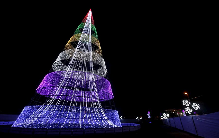 Christmas trees around the world