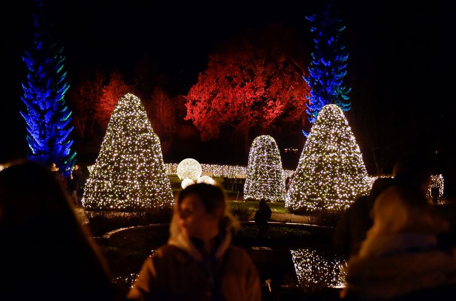 Light show kicks off in Berlin