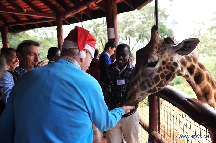 Tourists visit giraffe Center in Kenya