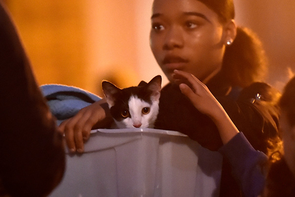 5,000 people evacuated from housing estate in London over fire risk fears