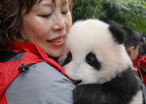 一名飼養(yǎng)員懷抱一只2010年新出生的大熊貓