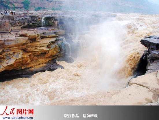 黃河壺口波濤洶涌 呈現(xiàn)夏季獨(dú)有奇觀