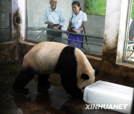 武漢動(dòng)物園投放冰決降溫[組圖]